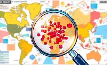 Sector Spotlight: Granular Market Analysis for Niche Opportunities